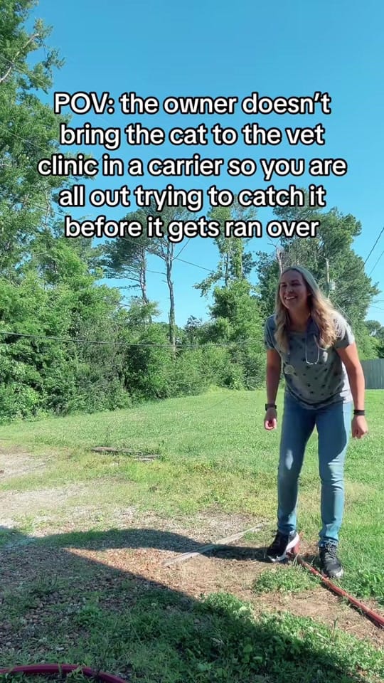 Post 1 by Dr. Whitney C. Terrell on TikTok (video)