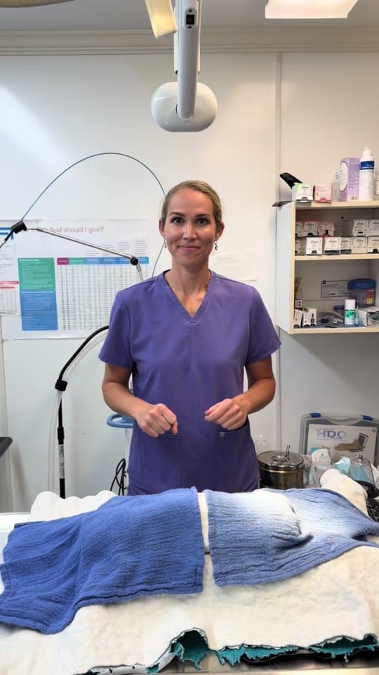 Post 3 by Dr. Whitney C. Terrell on TikTok (video)