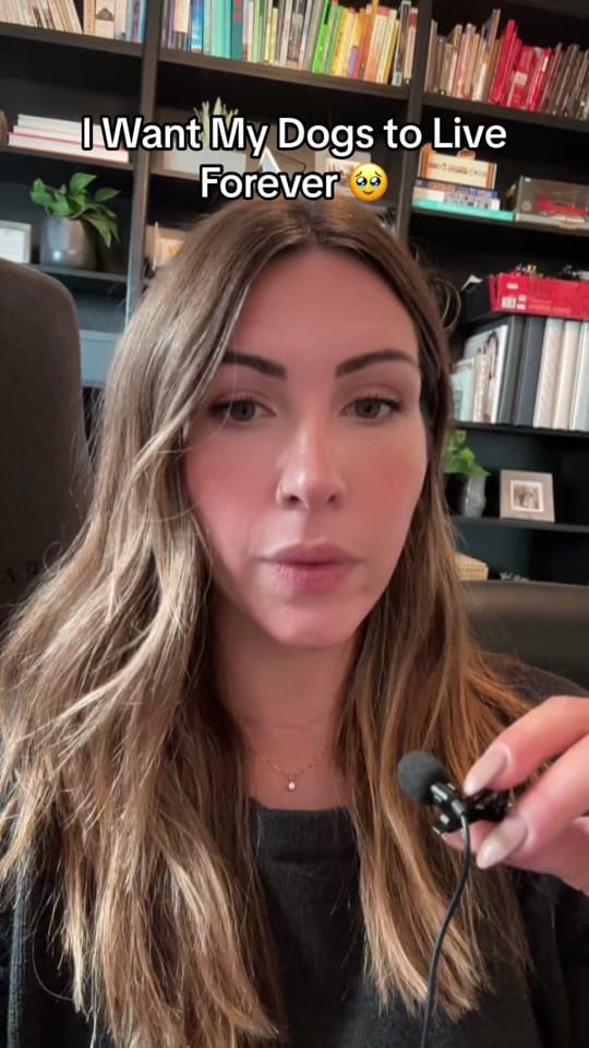 Post 8 by Amanda | Beau & Bear 🐾 on TikTok (video)