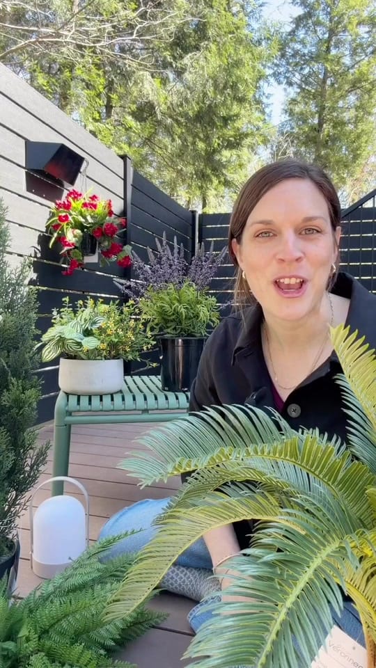 Post 5 by Décors Véronneau on TikTok (video)