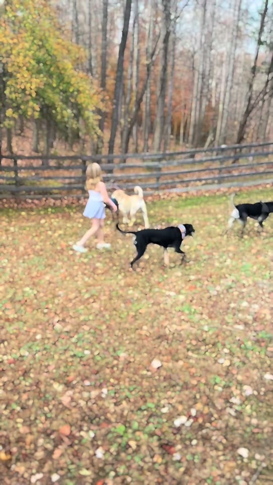 Post 1 by ProjectSecondChance on TikTok (video)