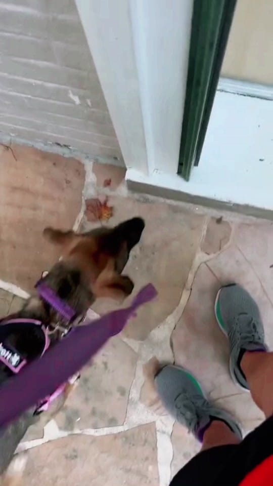 Post 10 by ProjectSecondChance on TikTok (video)