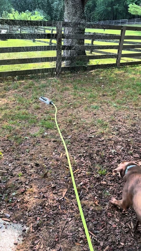 Post 4 by ProjectSecondChance on TikTok (video)