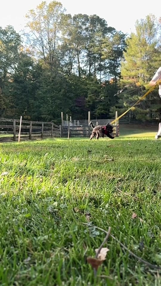 Post 7 by ProjectSecondChance on TikTok (video)