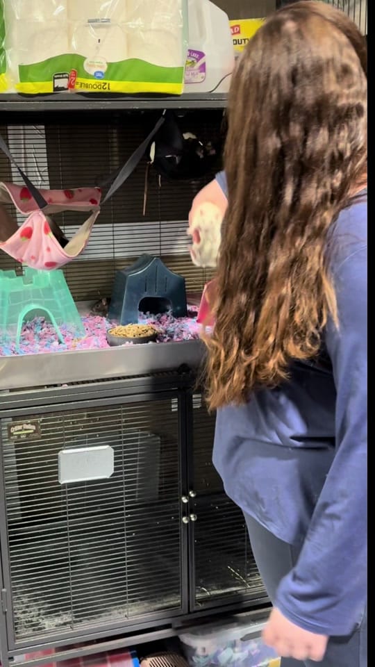 Post 6 by Small n Furry Rescue on TikTok (video)