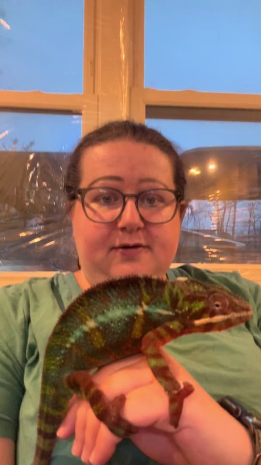 Post 7 by Small n Furry Rescue on TikTok (video)