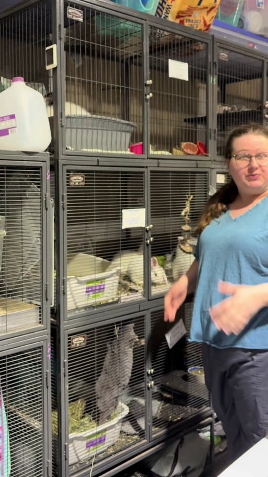 Post 9 by Small n Furry Rescue on TikTok (video)
