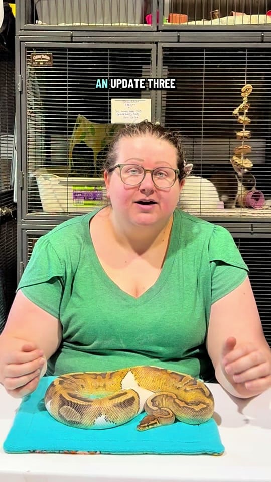 Post 10 by Small n Furry Rescue on TikTok (video)