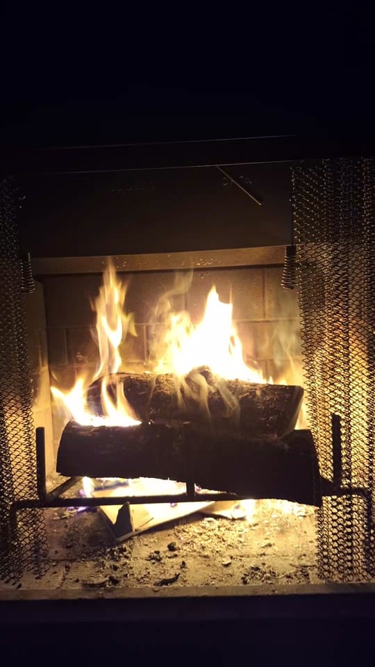 Post 7 by Bamagirl248❌️ on TikTok (video)
