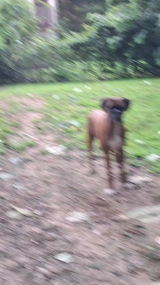 Post 2 by Bamagirl248❌️ on TikTok (video)