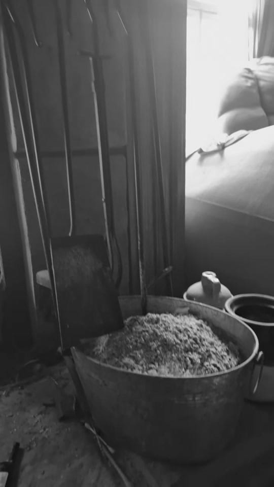 Post 5 by Bamagirl248❌️ on TikTok (video)