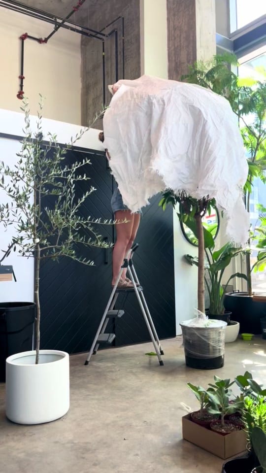 Post 5 by Wcjungle on TikTok (video)