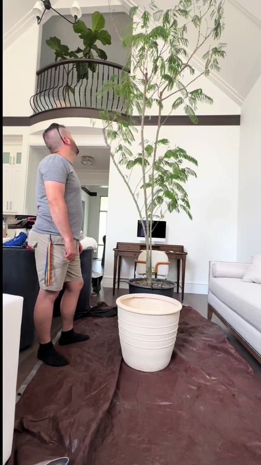Post 7 by Wcjungle on TikTok (video)