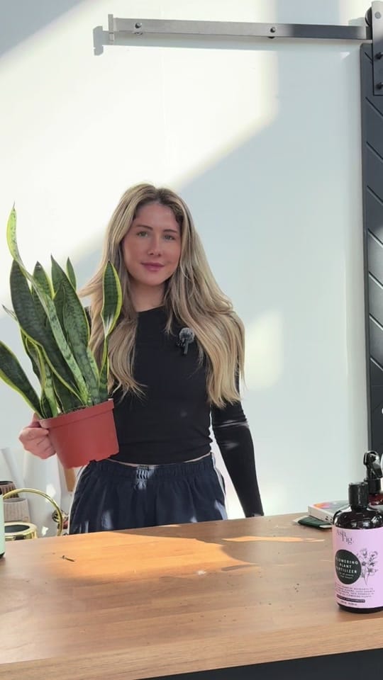 Post 4 by Wcjungle on TikTok (video)