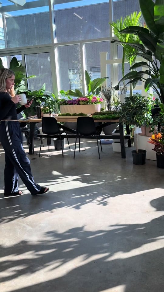 Post 3 by Wcjungle on TikTok (video)