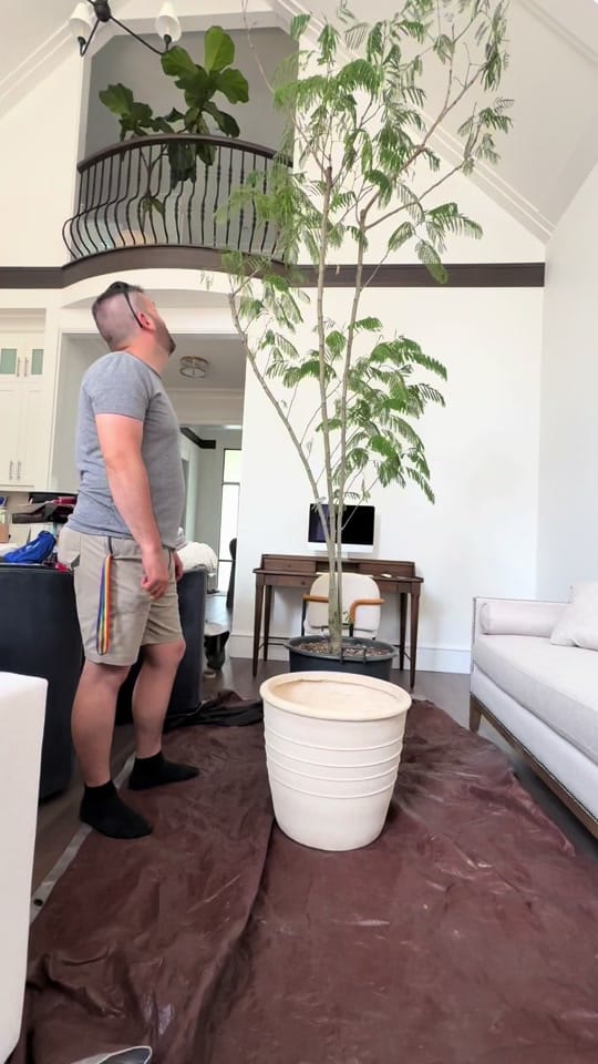 Post 10 by Wcjungle on TikTok (video)