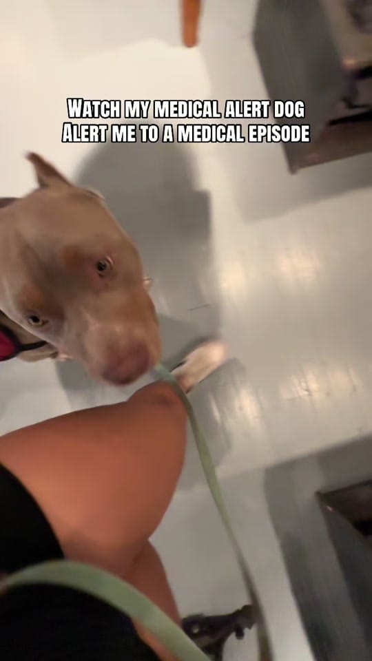 Post 5 by builtbypack on TikTok (video)