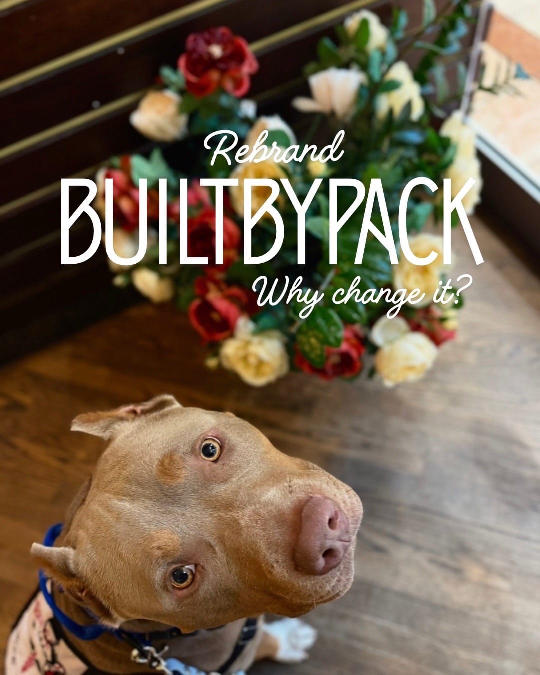 Post 10 by builtbypack on TikTok (video)