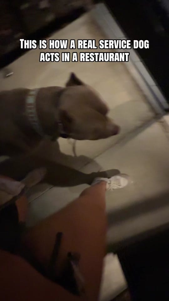 Post 8 by builtbypack on TikTok (video)