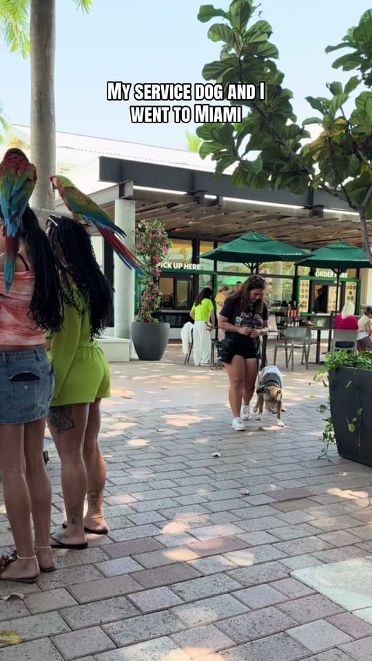 Post 6 by builtbypack on TikTok (video)