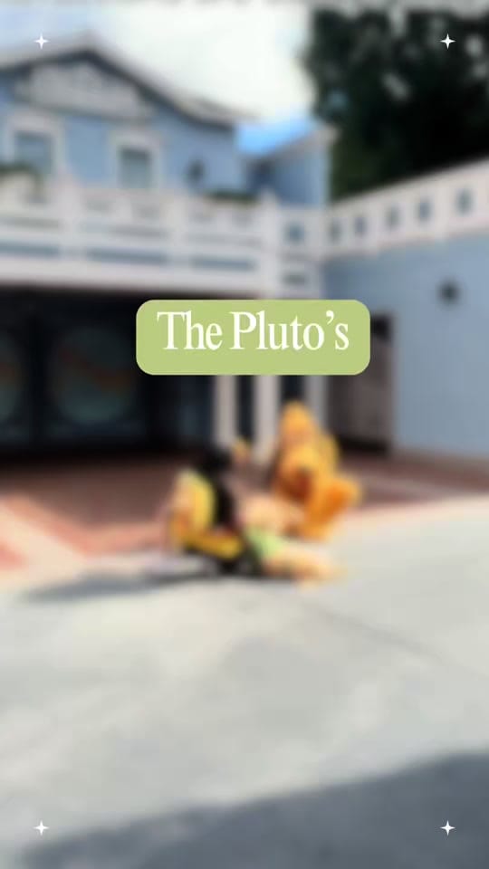 Post 9 by Pluto The Service Dog on TikTok (video)