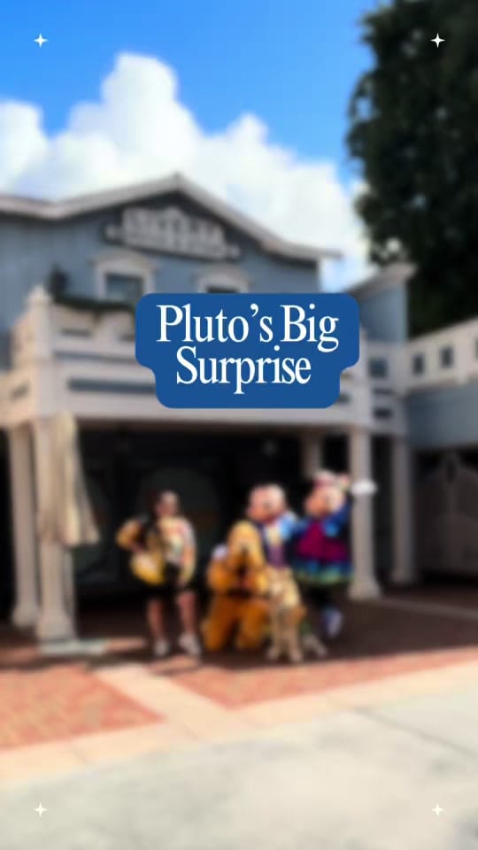 Post 8 by Pluto The Service Dog on TikTok (video)