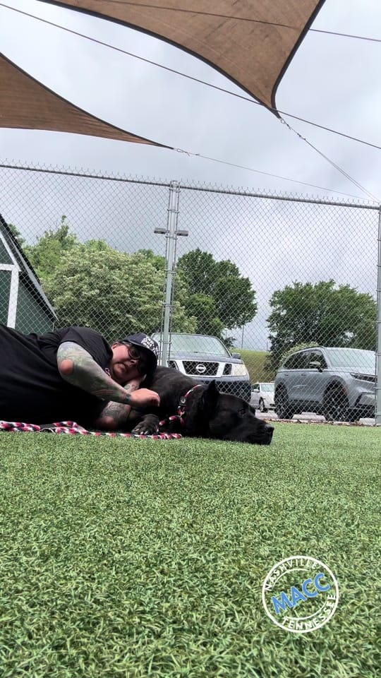 Post 2 by Puptography by Adrian Budnick on TikTok (video)