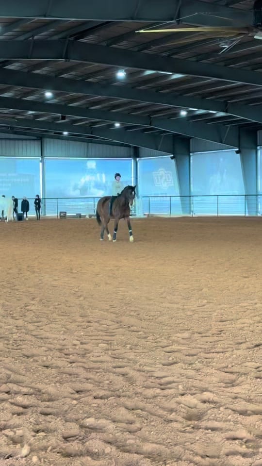 Post 5 by emmahechtman on TikTok (video)