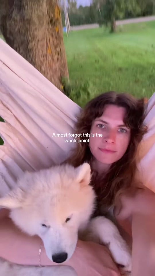 Post 8 by Hilary Mackay on TikTok (video)