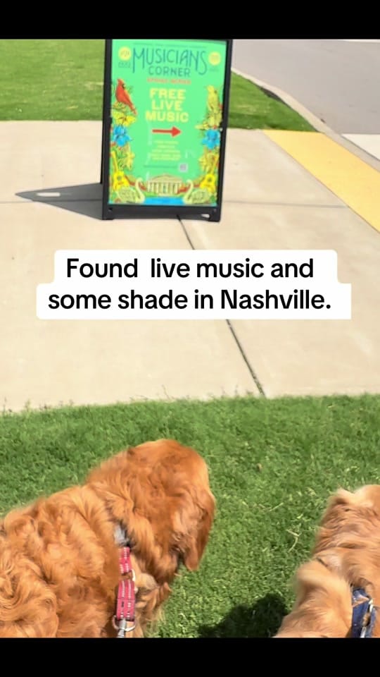 Post 1 by somanypets on TikTok (video)