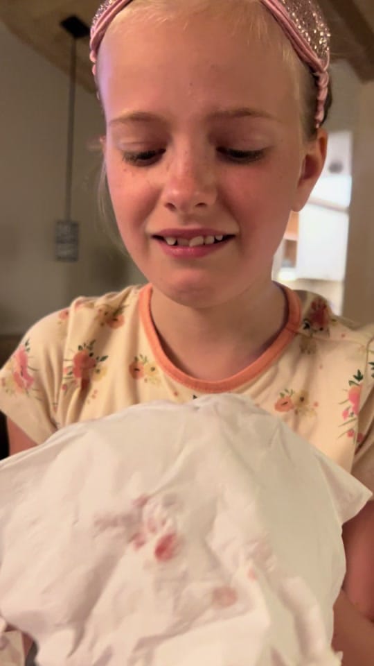 Post 8 by Florida Title Girl on TikTok (video)