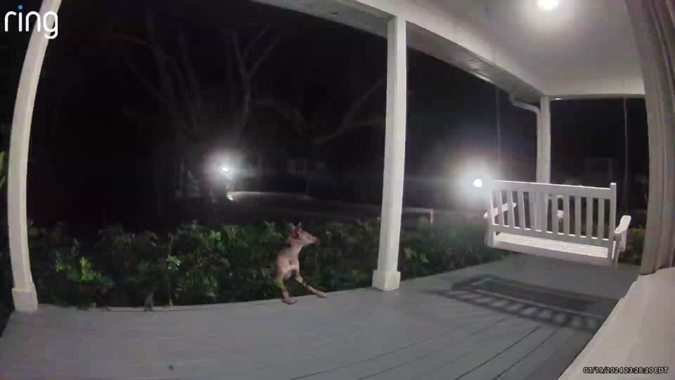 Post 9 by Florida Title Girl on TikTok (video)