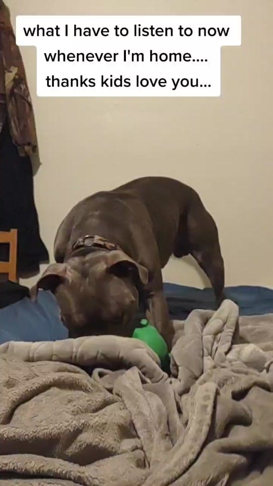 Post 4 by not yours on TikTok (video)
