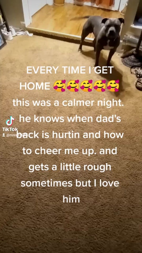 Post 7 by not yours on TikTok (video)
