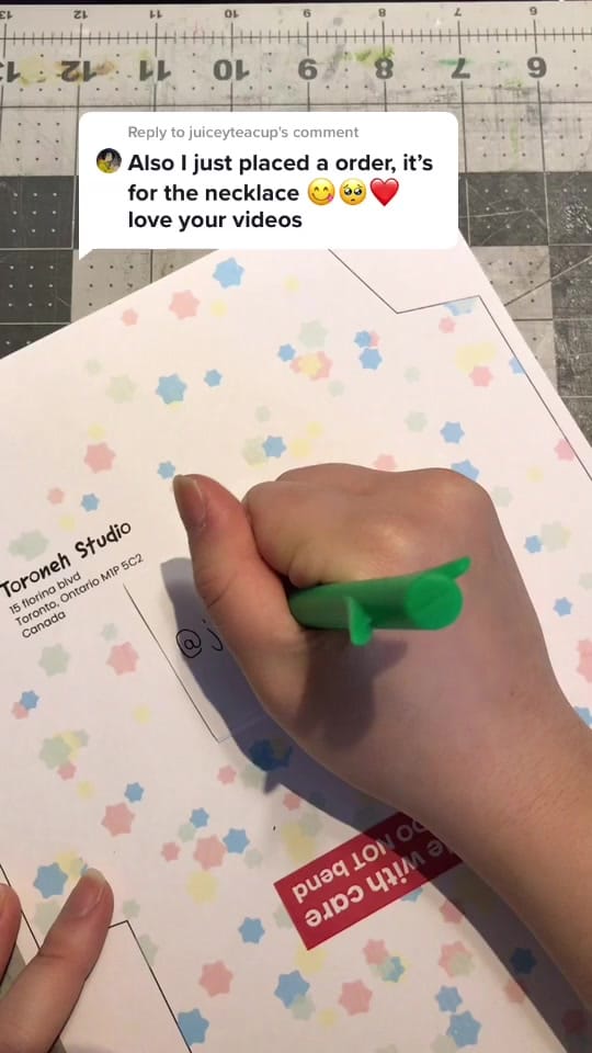 Post 7 by Toro on TikTok (video)