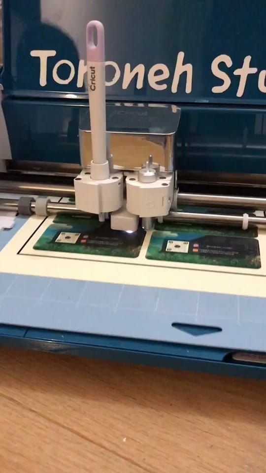 Post 5 by Toro on TikTok (video)
