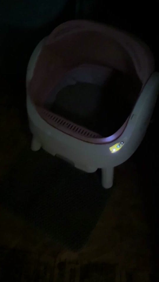 Post 10 by Amanda (and son) on TikTok (video)
