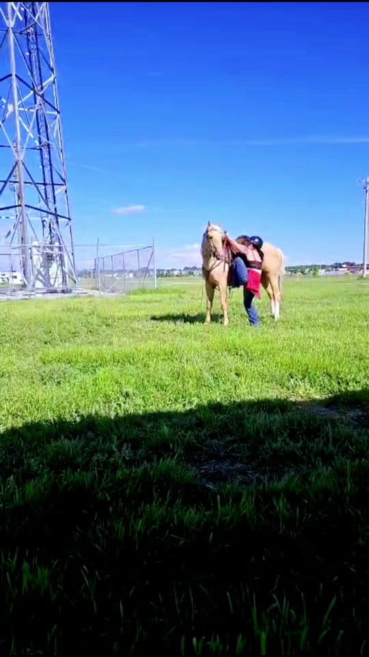 Post 7 by Jordana 💖💜💙 on TikTok (video)