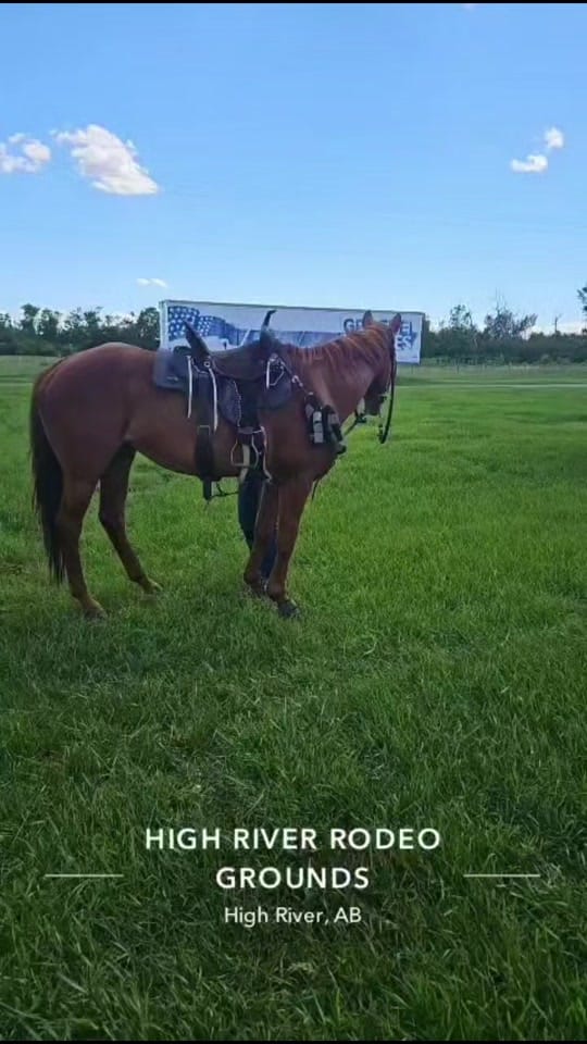 Post 3 by Jordana 💖💜💙 on TikTok (video)