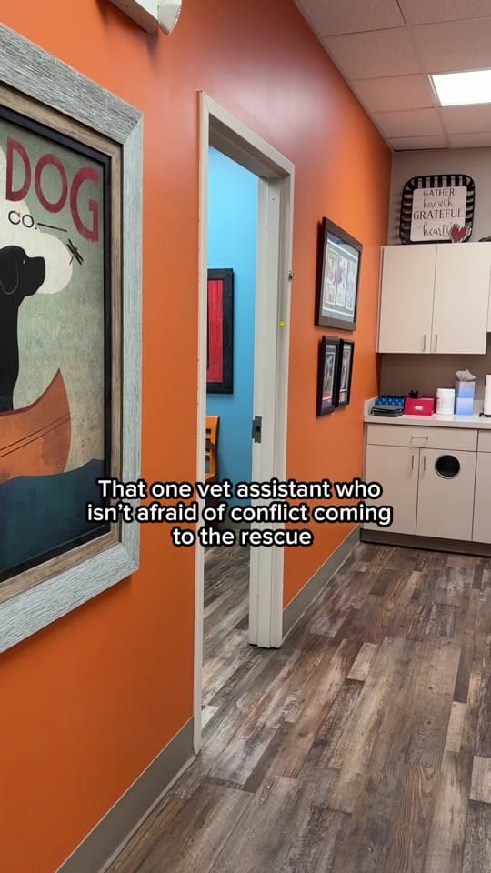 Post 4 by All-Star Veterinary Clinic on TikTok (video)