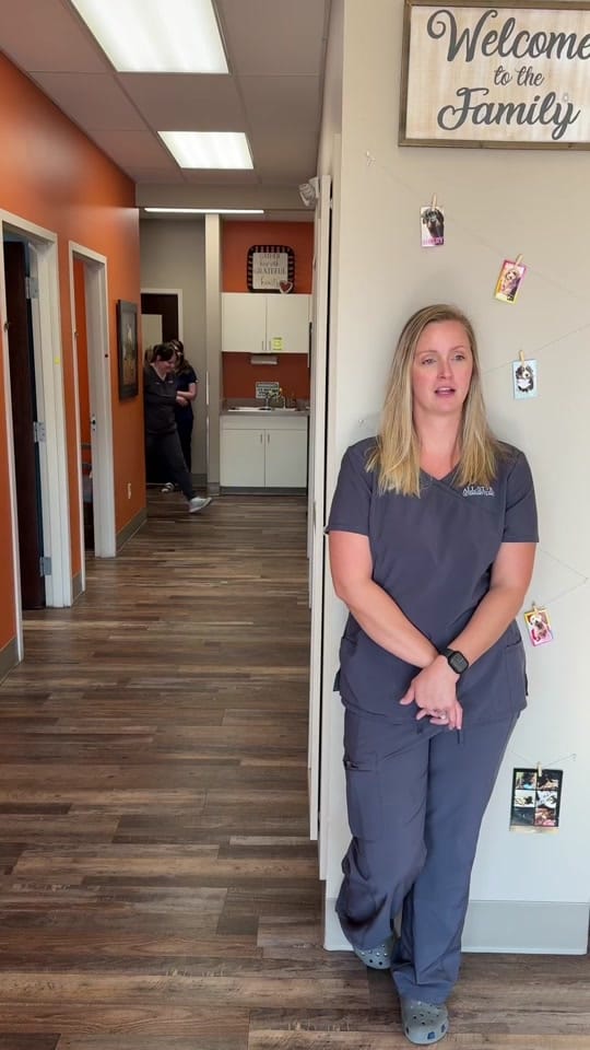 Post 8 by All-Star Veterinary Clinic on TikTok (video)