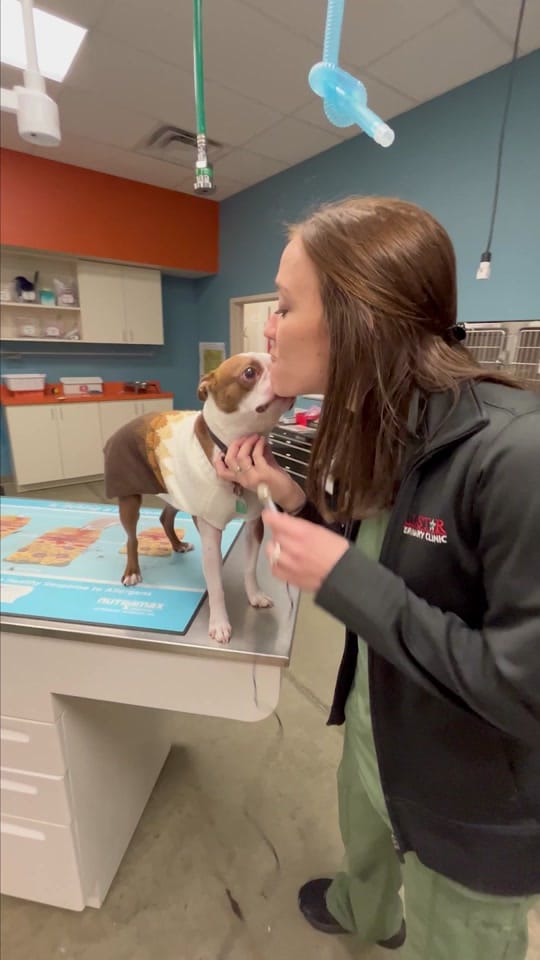 Post 1 by All-Star Veterinary Clinic on TikTok (video)