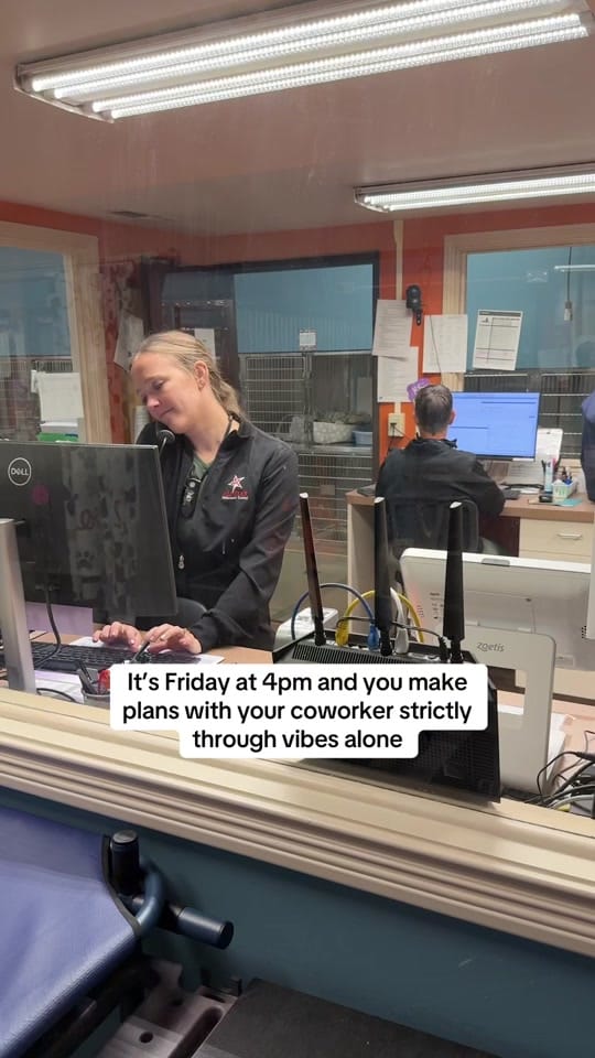 Post 5 by All-Star Veterinary Clinic on TikTok (video)