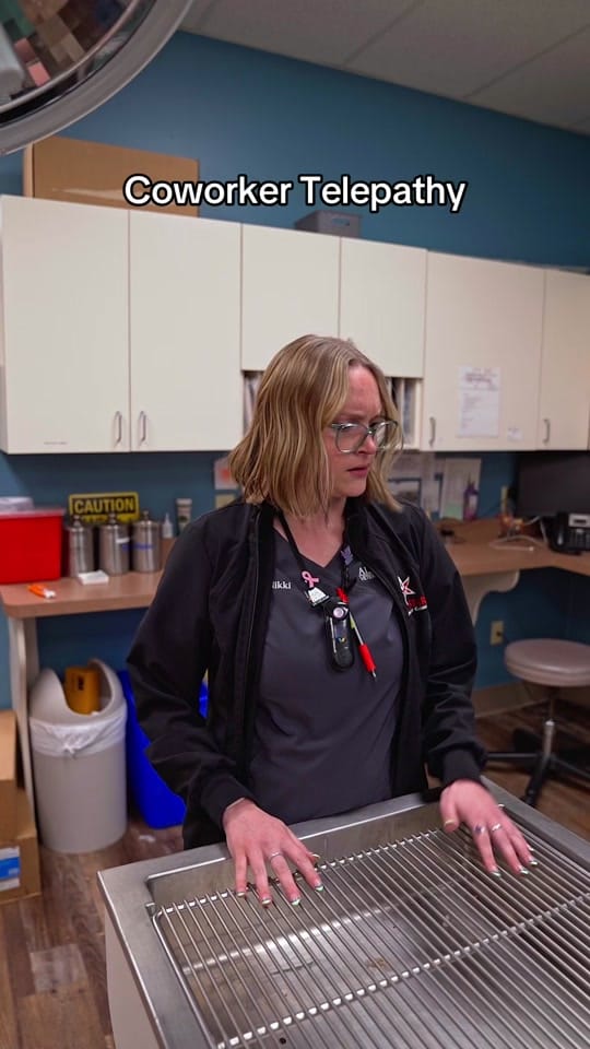 Post 10 by All-Star Veterinary Clinic on TikTok (video)