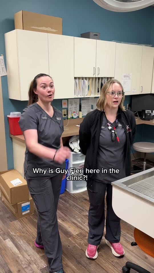 Post 3 by All-Star Veterinary Clinic on TikTok (video)