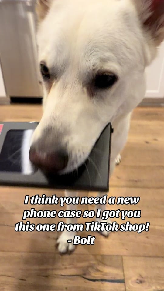 Post 5 by BOLT on TikTok (video)