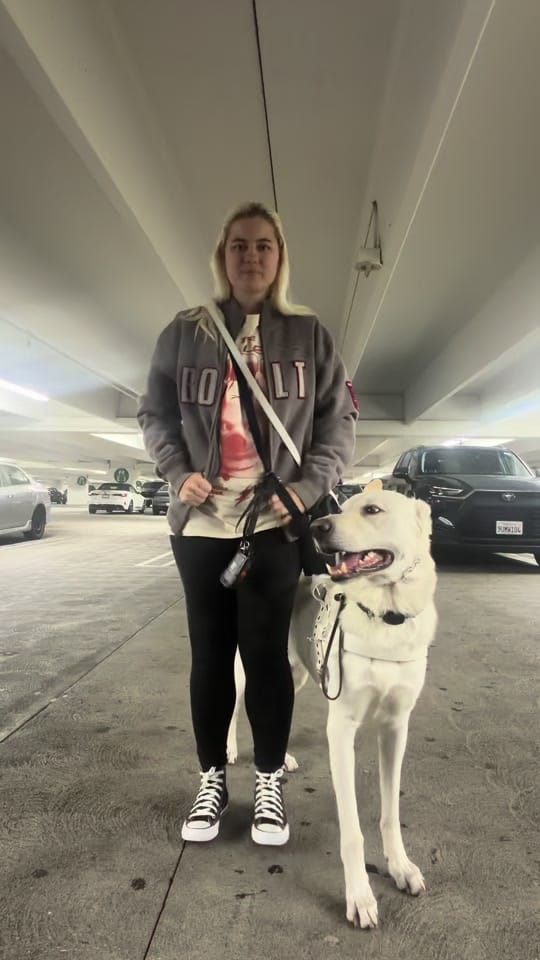 Post 8 by BOLT on TikTok (video)