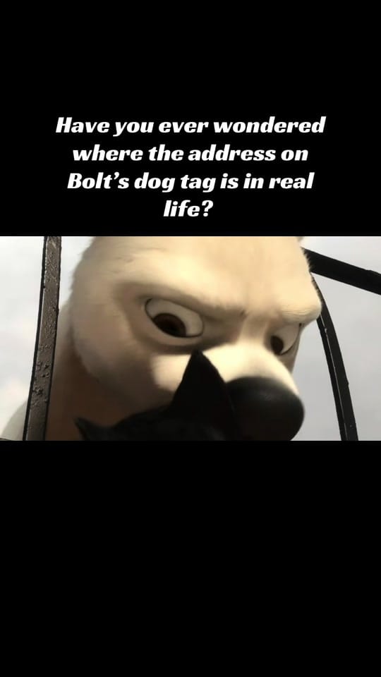 Post 9 by BOLT on TikTok (video)
