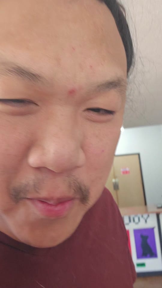 Post 8 by Inside Out Dog Training on TikTok (video)