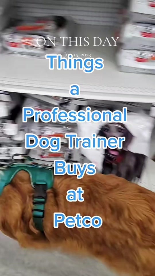 Post 1 by Inside Out Dog Training on TikTok (video)